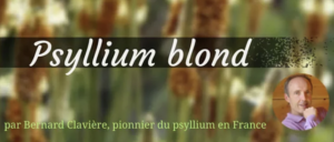 le psyllium par Bernard Clavière