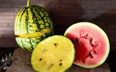 Smoothie totum, chair, graines… et peau !