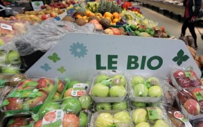 Bio… pas bio ? Comment consommer ses fruits et légumes ?