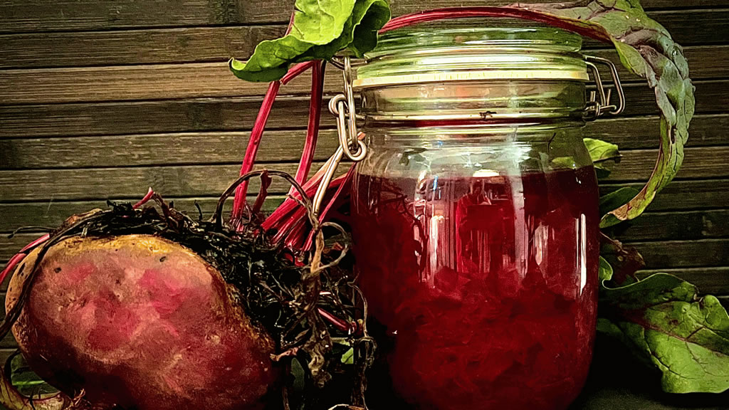 lactofermentation de betterave