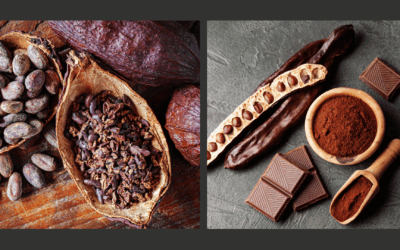 Caroube, cacao… cadmium ?